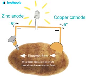 potato battery science project|How to Turn a Potato Into a Battery .